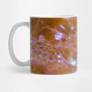 Photographie Cheveux d'Ange étincelants Mug